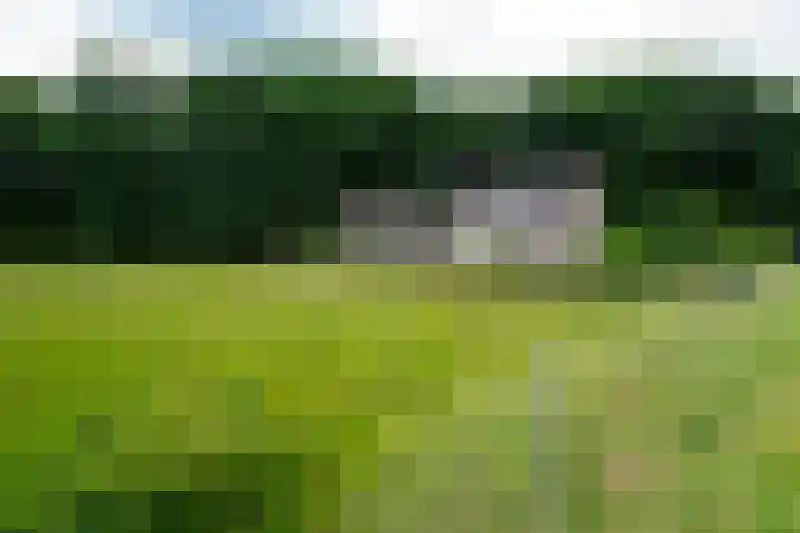 Tusveld 21 Bornerbroek thumbnail 65