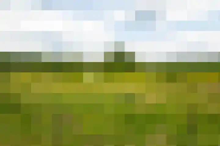 Tusveld 21 Bornerbroek thumbnail 66
