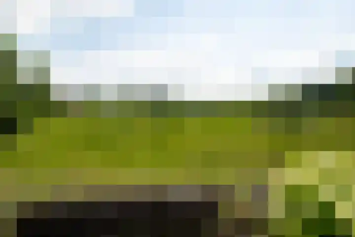 Tusveld 21 Bornerbroek thumbnail 68