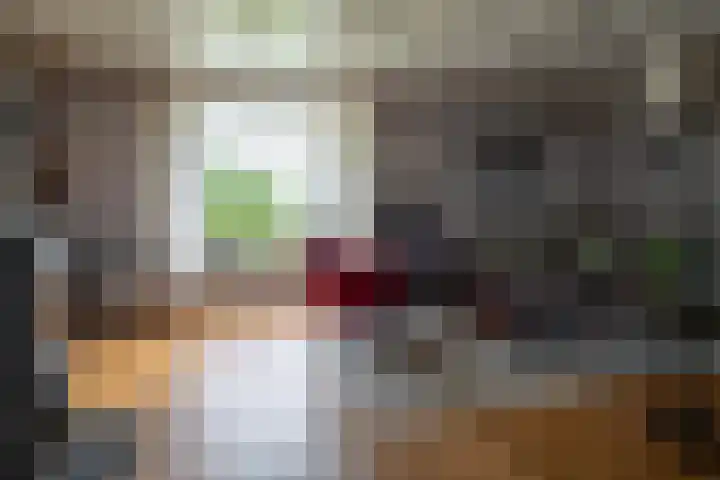 Tusveld 21 Bornerbroek thumbnail 7