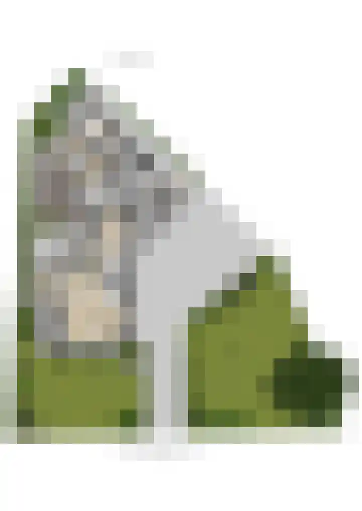 Tusveld 21 Bornerbroek thumbnail 72