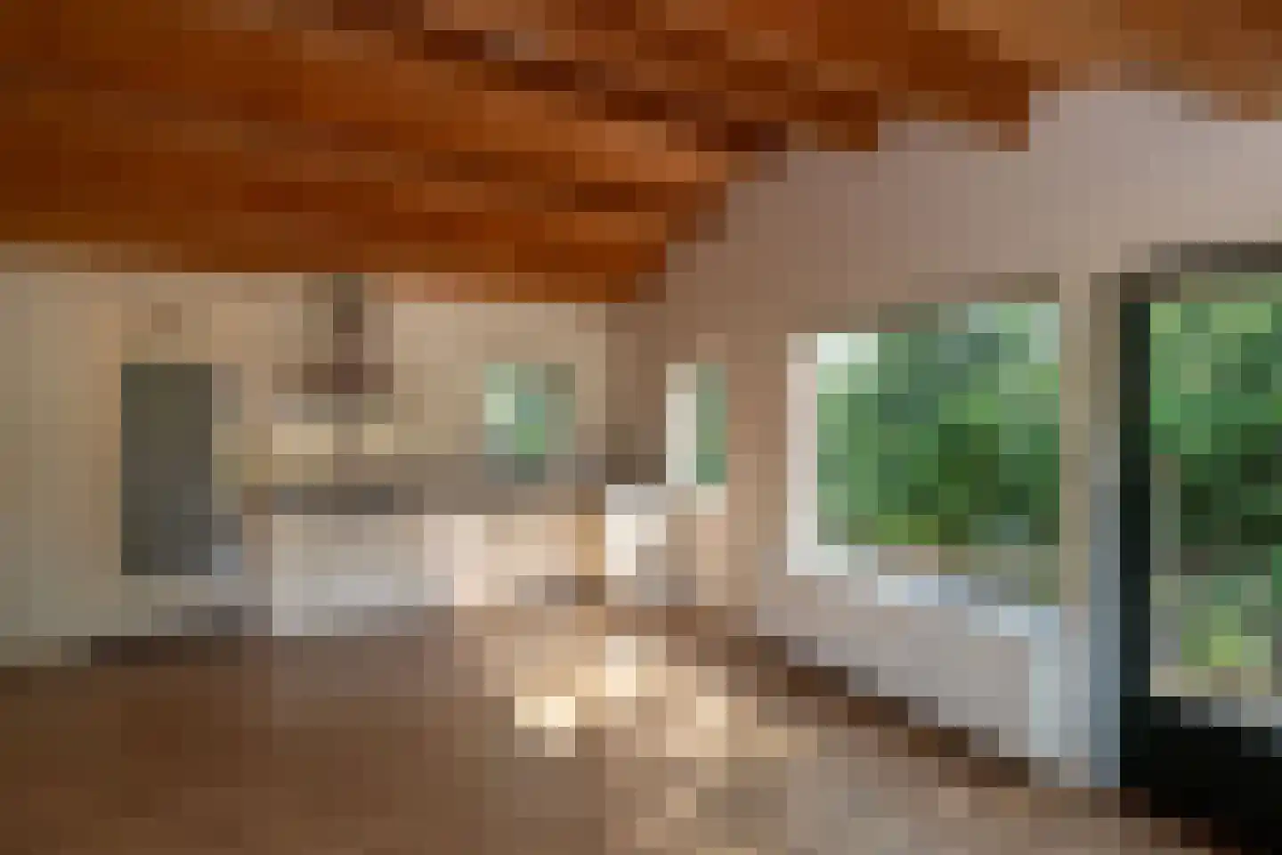 Tusveld 39 Bornerbroek thumbnail 19