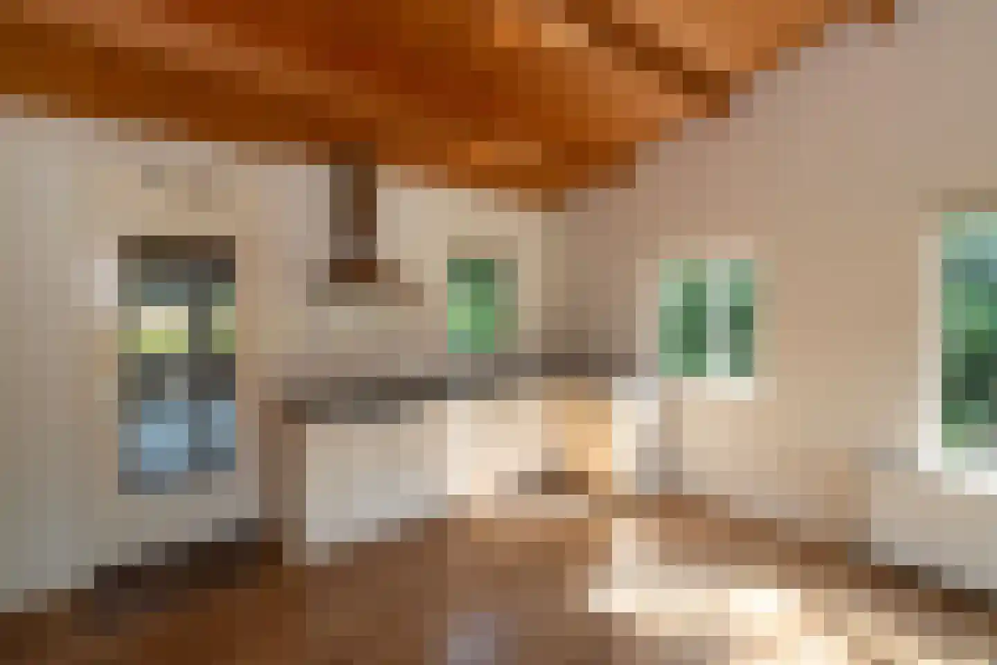 Tusveld 39 Bornerbroek thumbnail 20