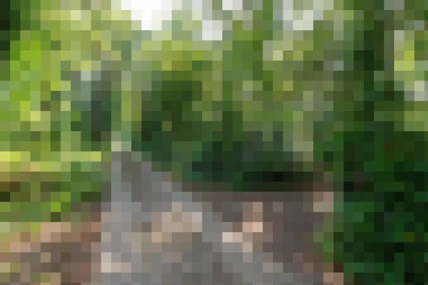 Tusveld 39 Bornerbroek thumbnail 5