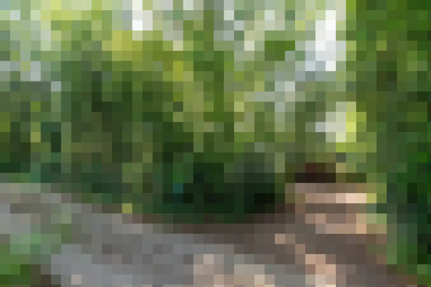 Tusveld 39 Bornerbroek thumbnail 6