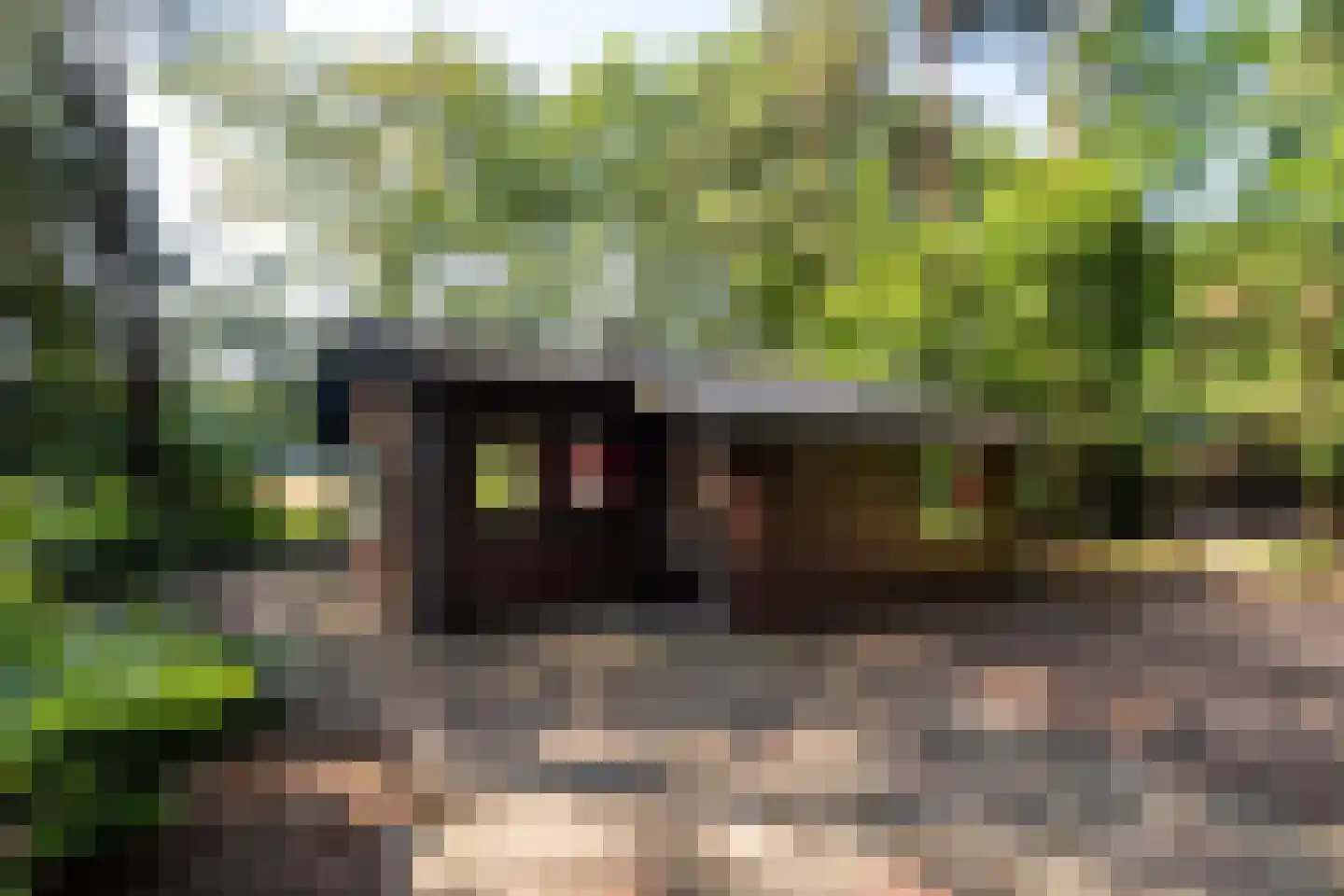 Tusveld 39 Bornerbroek thumbnail 7