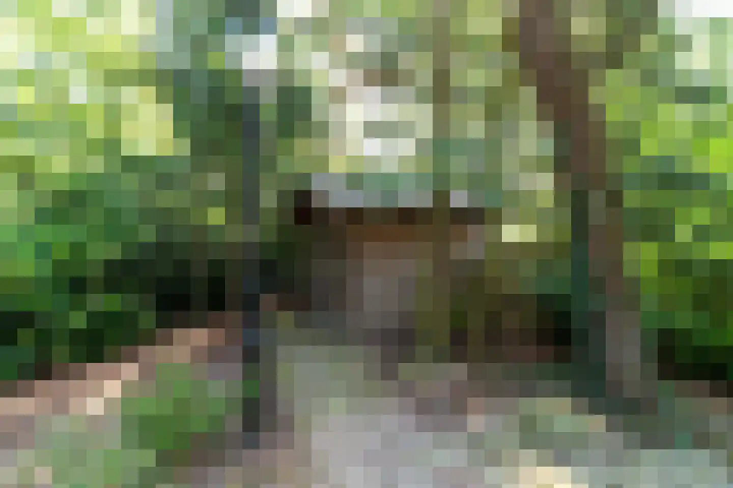 Tusveld 39 Bornerbroek thumbnail 8