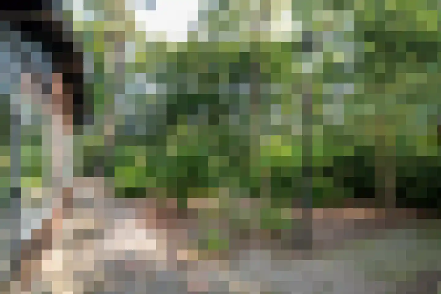 Tusveld 39 Bornerbroek thumbnail 9