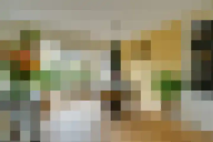 Tutein Noltheniusplein 34 Purmerend thumbnail 13