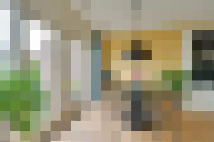 Tutein Noltheniusplein 34 Purmerend thumbnail 15