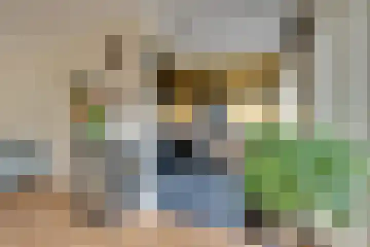 Tutein Noltheniusplein 34 Purmerend thumbnail 17