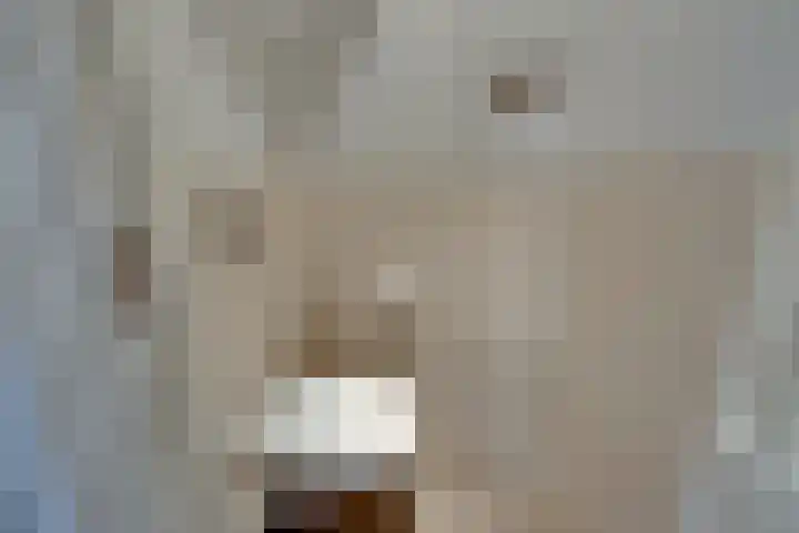 Tutein Noltheniusplein 34 Purmerend thumbnail 19
