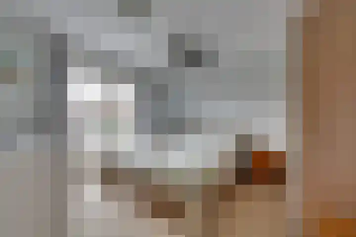 Tutein Noltheniusplein 34 Purmerend thumbnail 20