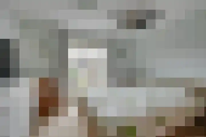Tutein Noltheniusplein 34 Purmerend thumbnail 21