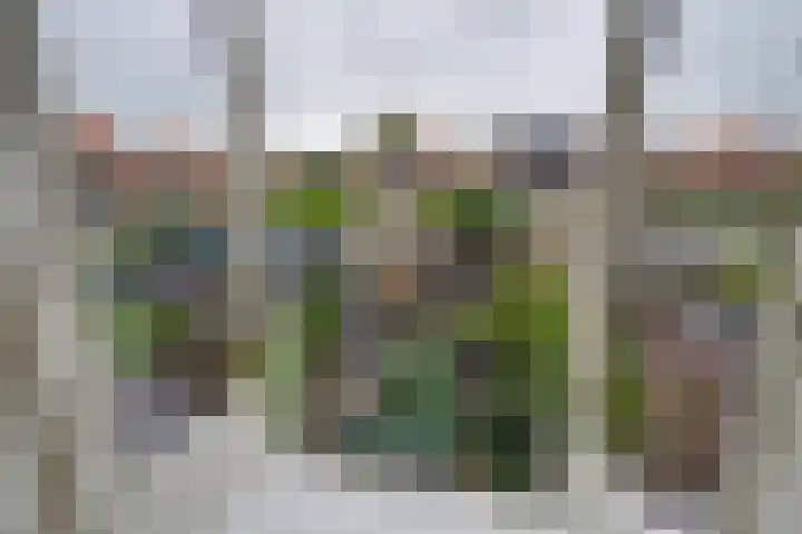 Tutein Noltheniusplein 34 Purmerend thumbnail 23