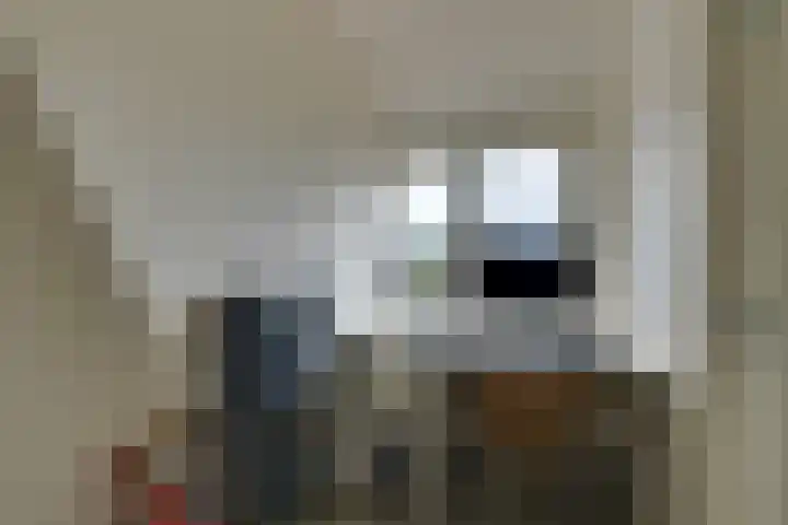 Tutein Noltheniusplein 34 Purmerend thumbnail 33