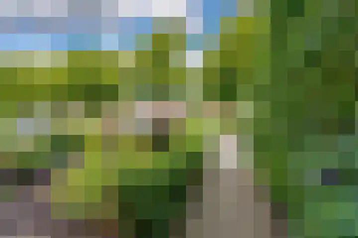 Tutein Noltheniusplein 34 Purmerend thumbnail 4