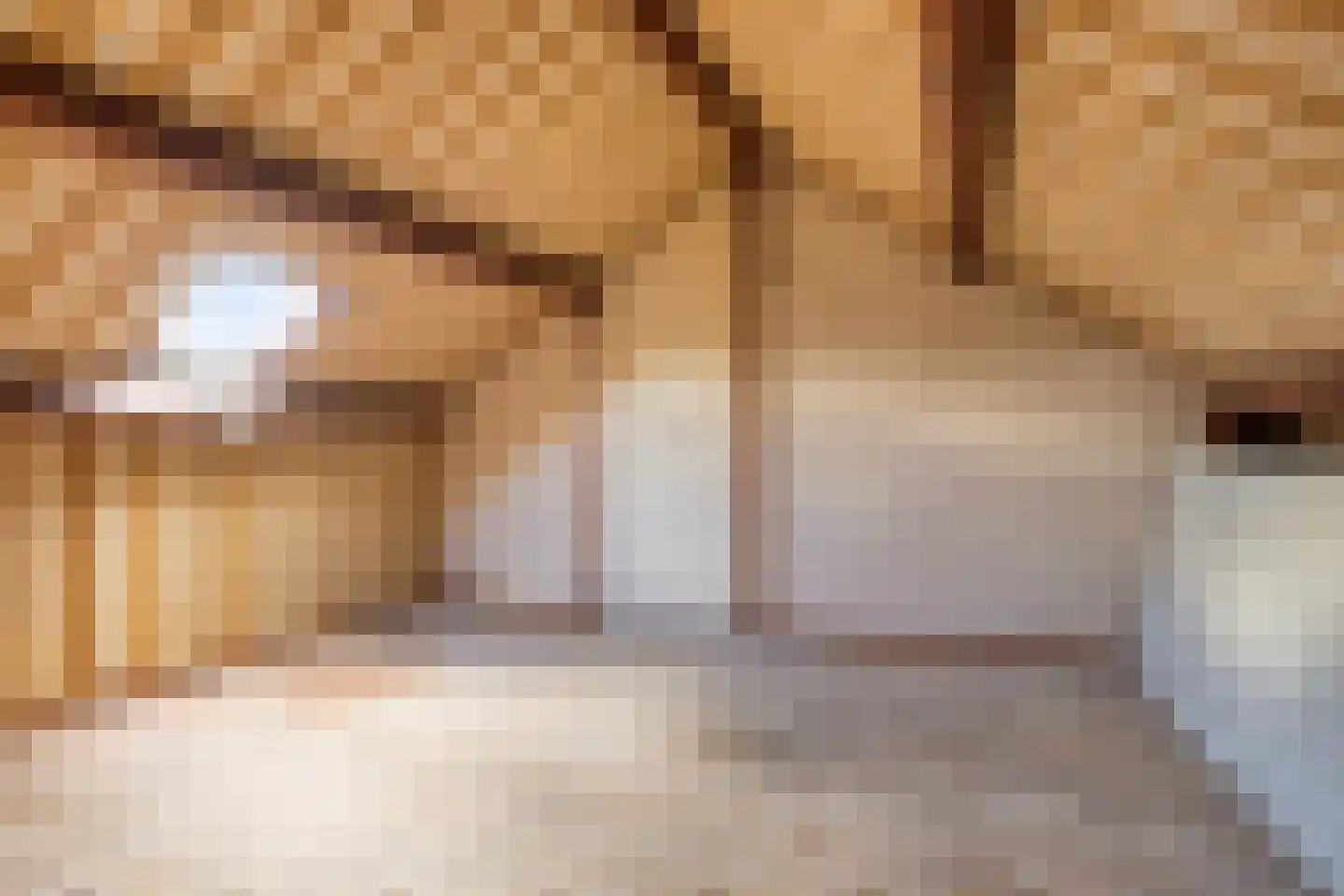 Tutein Noltheniusplein 8 Purmerend thumbnail 21