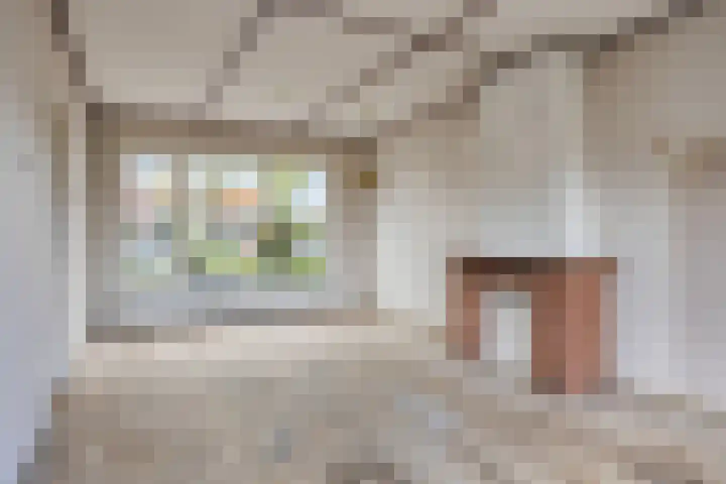 Tutein Noltheniusplein 8 Purmerend thumbnail 5