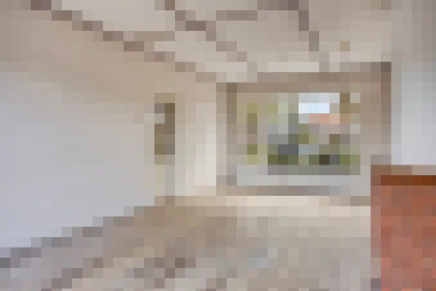 Tutein Noltheniusplein 8 Purmerend thumbnail 7