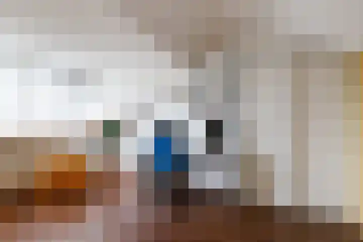 Tuterië 3 Wijhe