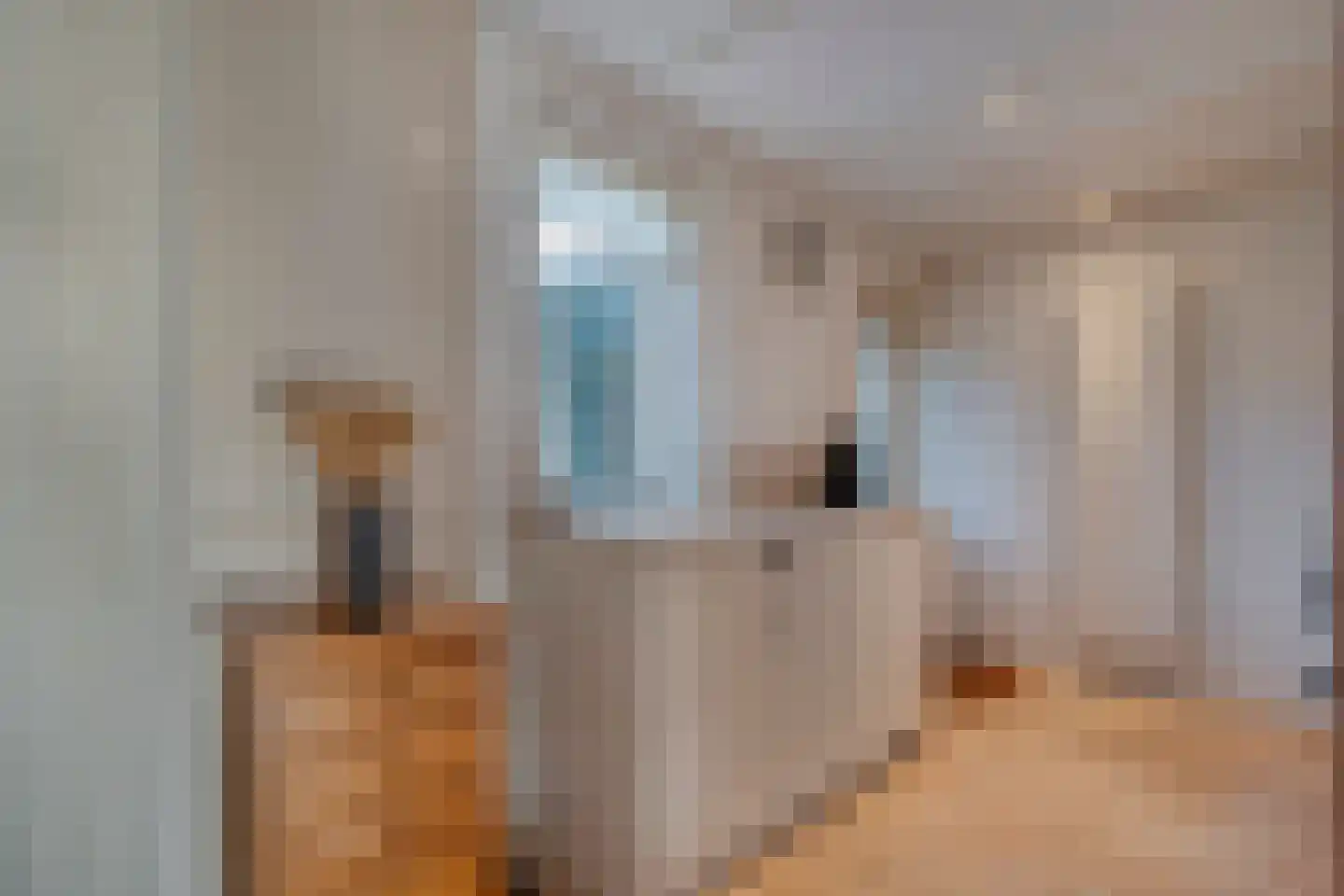 Tuterië 3 Wijhe thumbnail 14