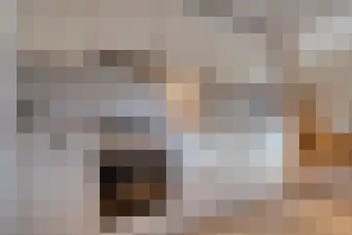 Tuterië 3 Wijhe thumbnail 15