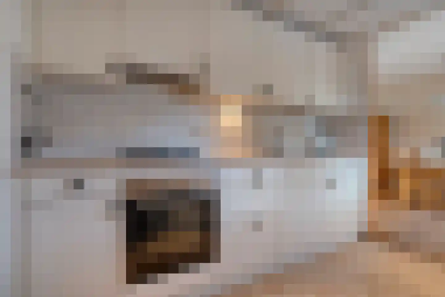 Tuterië 3 Wijhe thumbnail 15