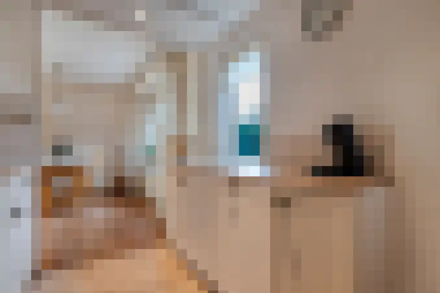 Tuterië 3 Wijhe thumbnail 16