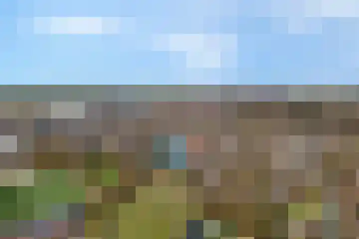 Tuterië 3 Wijhe foto 2