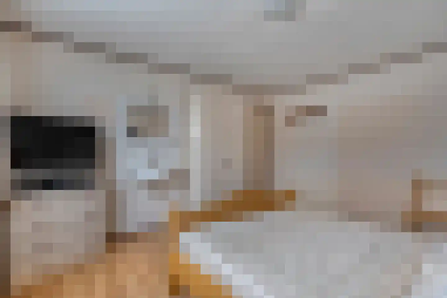 Tuterië 3 Wijhe thumbnail 20