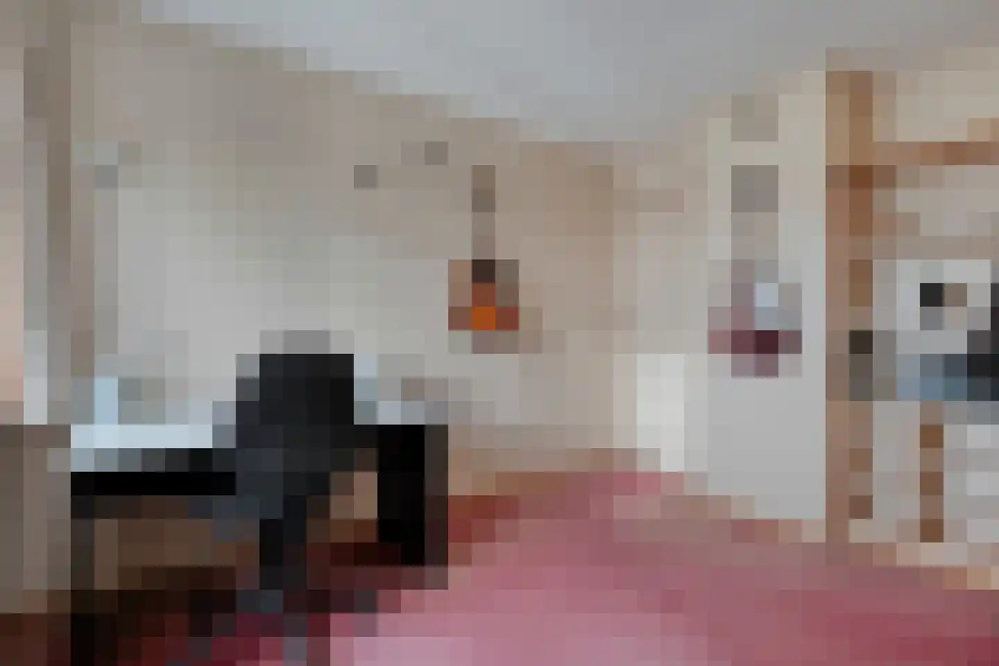 Tuterië 3 Wijhe thumbnail 24