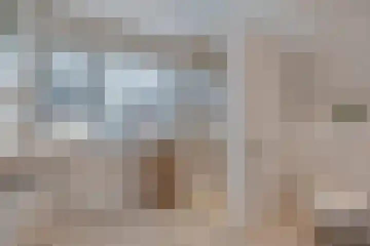 Tuterië 3 Wijhe thumbnail 25