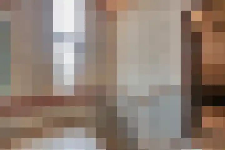 Tuterië 3 Wijhe thumbnail 29