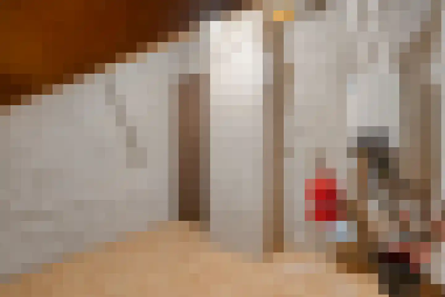 Tuterië 3 Wijhe thumbnail 33