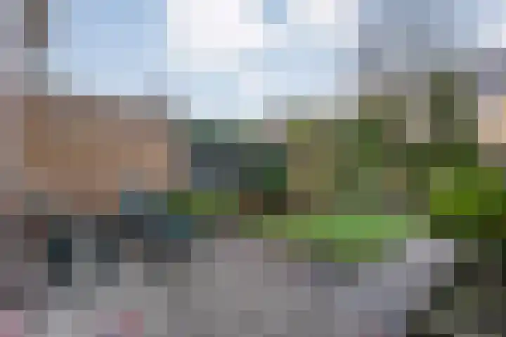 Tuterië 3 Wijhe thumbnail 34