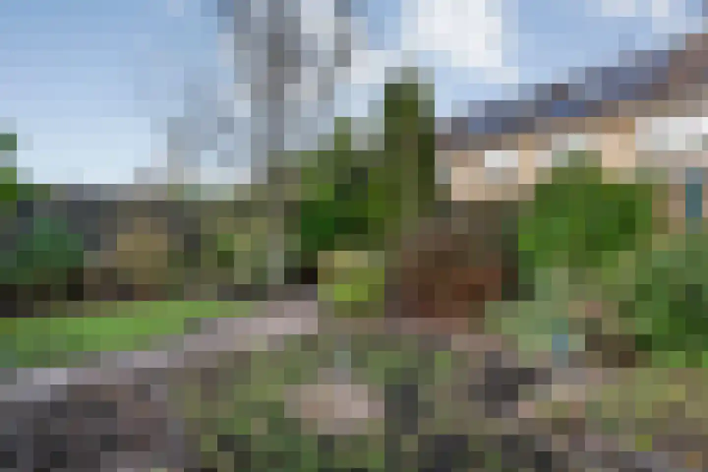 Tuterië 3 Wijhe thumbnail 37