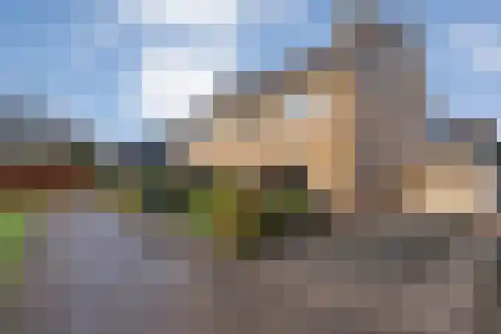 Tuterië 3 Wijhe thumbnail 6