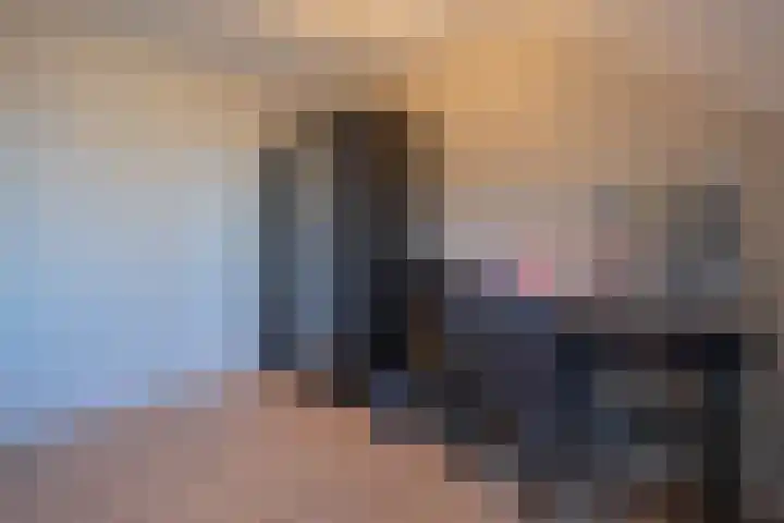 Tuulshoek 61 Heythuysen thumbnail 21