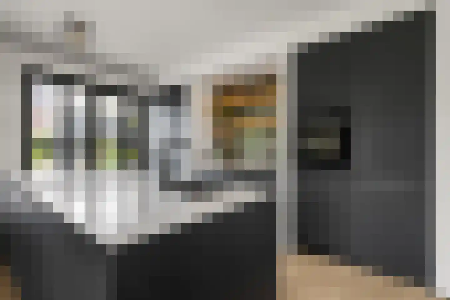 Tuurdijk 3 't Goy thumbnail 12