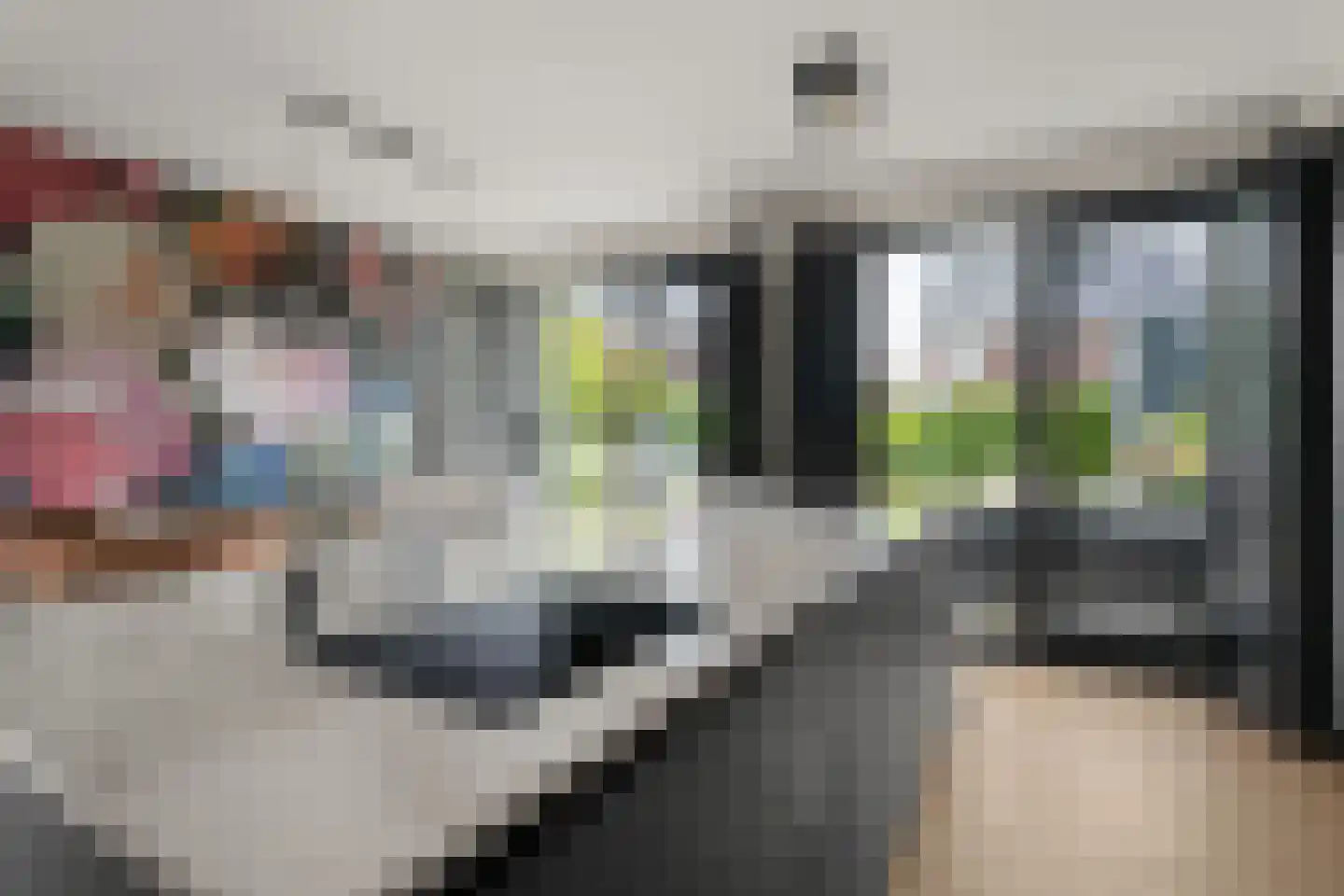 Tuurdijk 3 't Goy thumbnail 13