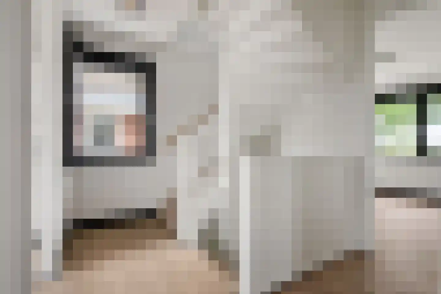 Tuurdijk 3 't Goy thumbnail 14