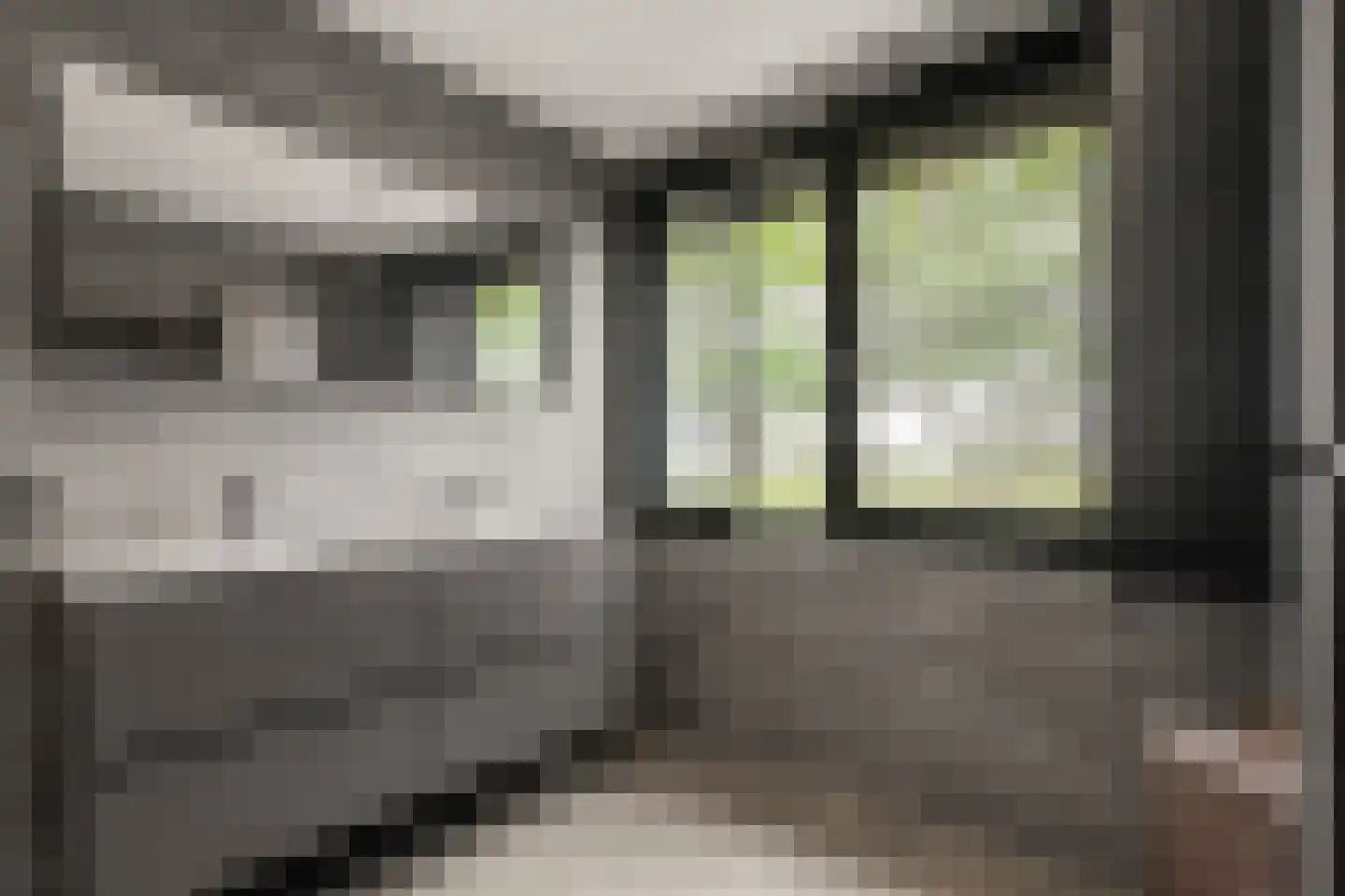 Tuurdijk 3 't Goy thumbnail 17
