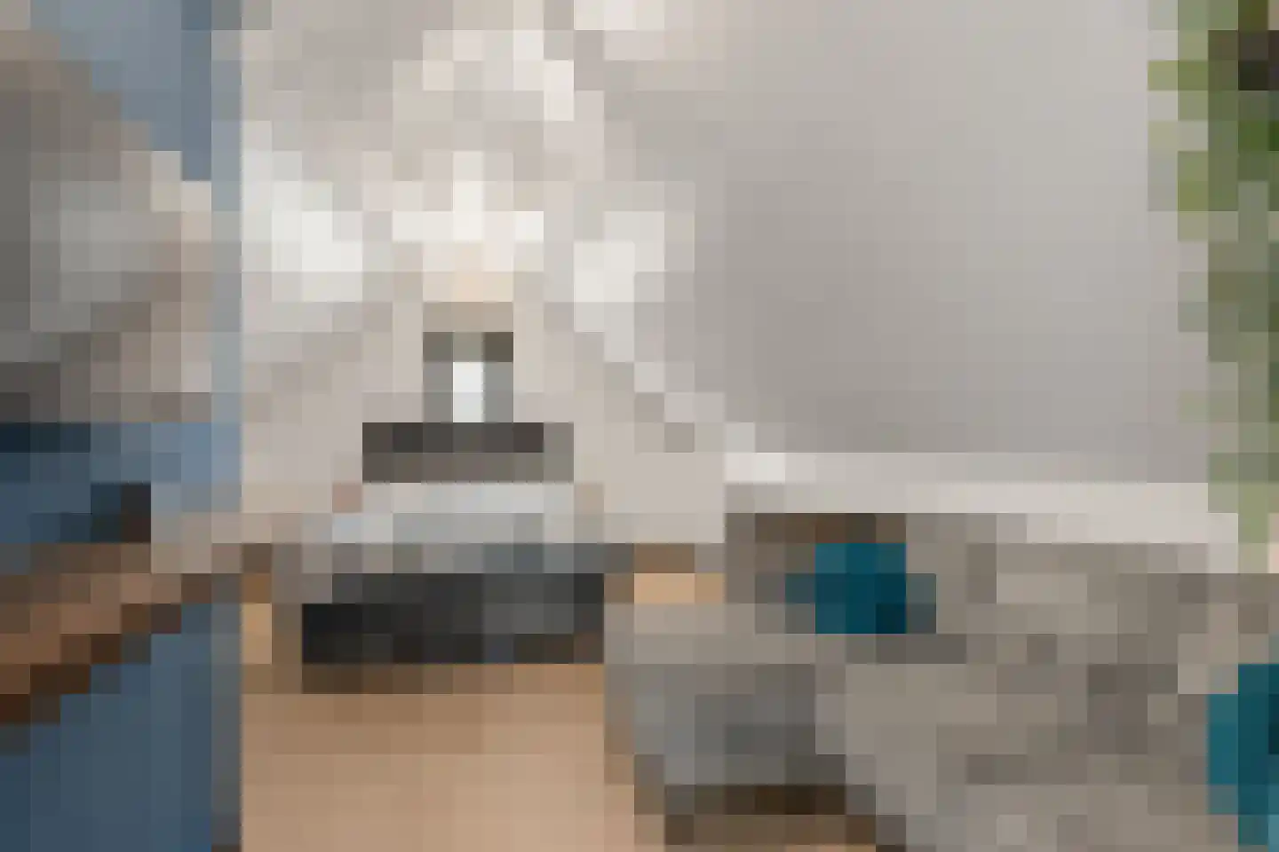 Tuurdijk 3 't Goy thumbnail 23