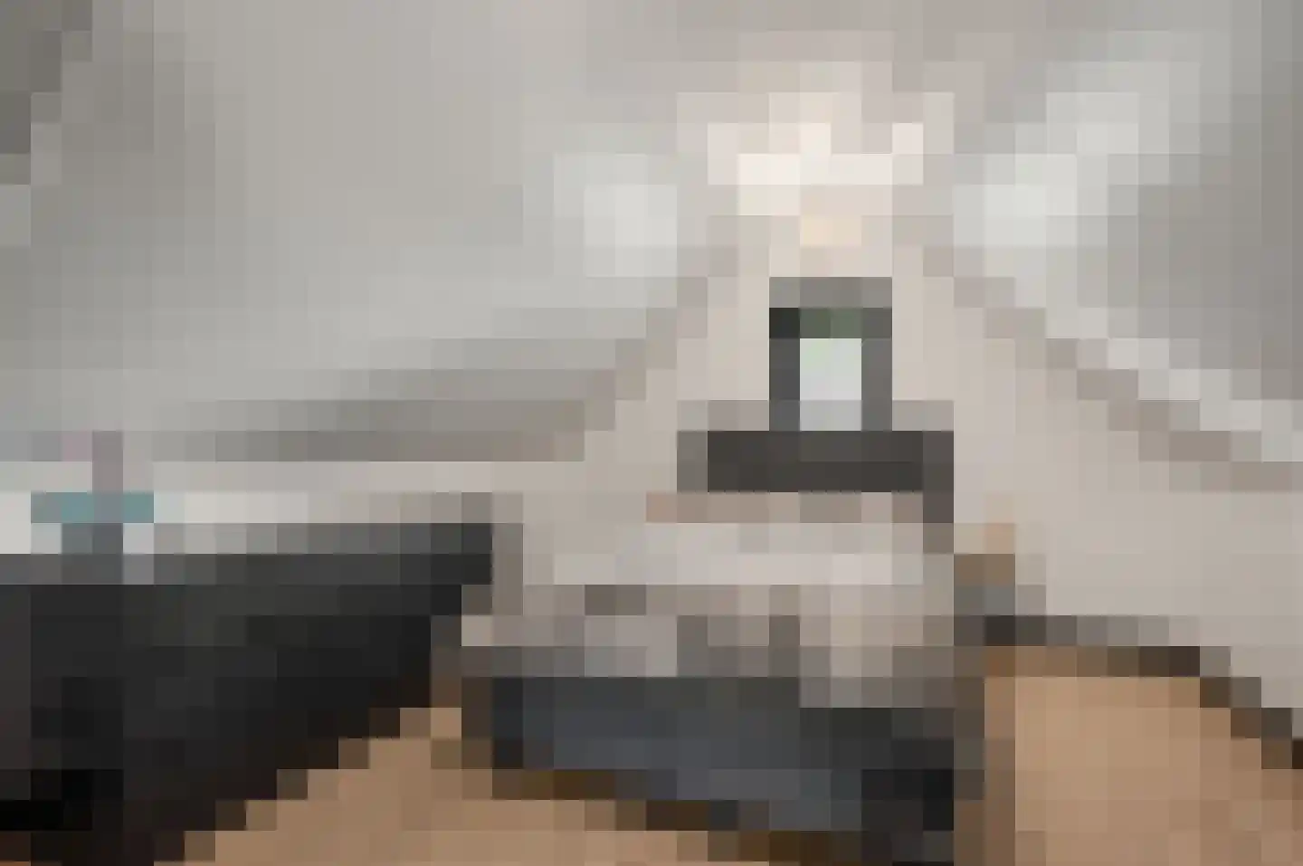 Tuurdijk 3 't Goy thumbnail 24