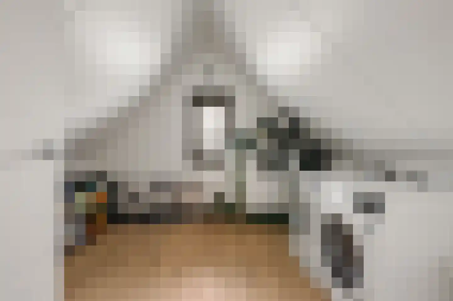 Tuurdijk 3 't Goy thumbnail 26