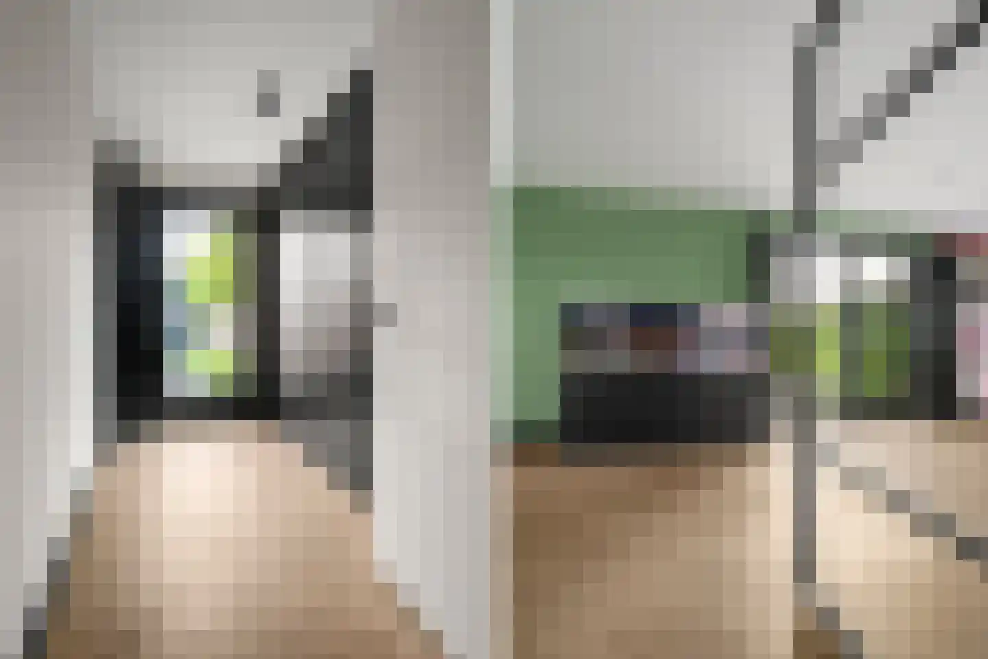 Tuurdijk 3 't Goy thumbnail 4
