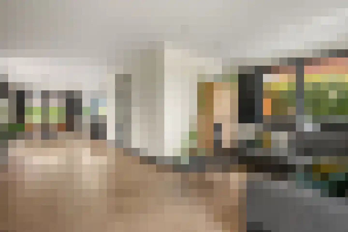 Tuurdijk 3 't Goy thumbnail 7