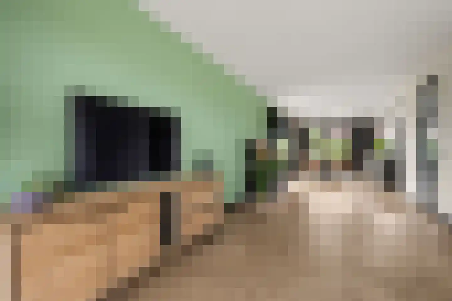 Tuurdijk 3 't Goy thumbnail 8