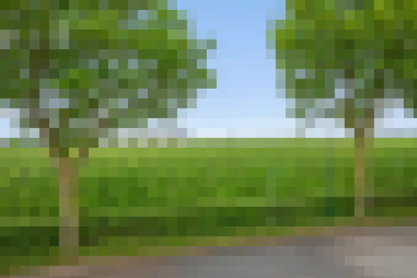 Tuurdijk 3 't Goy thumbnail 9